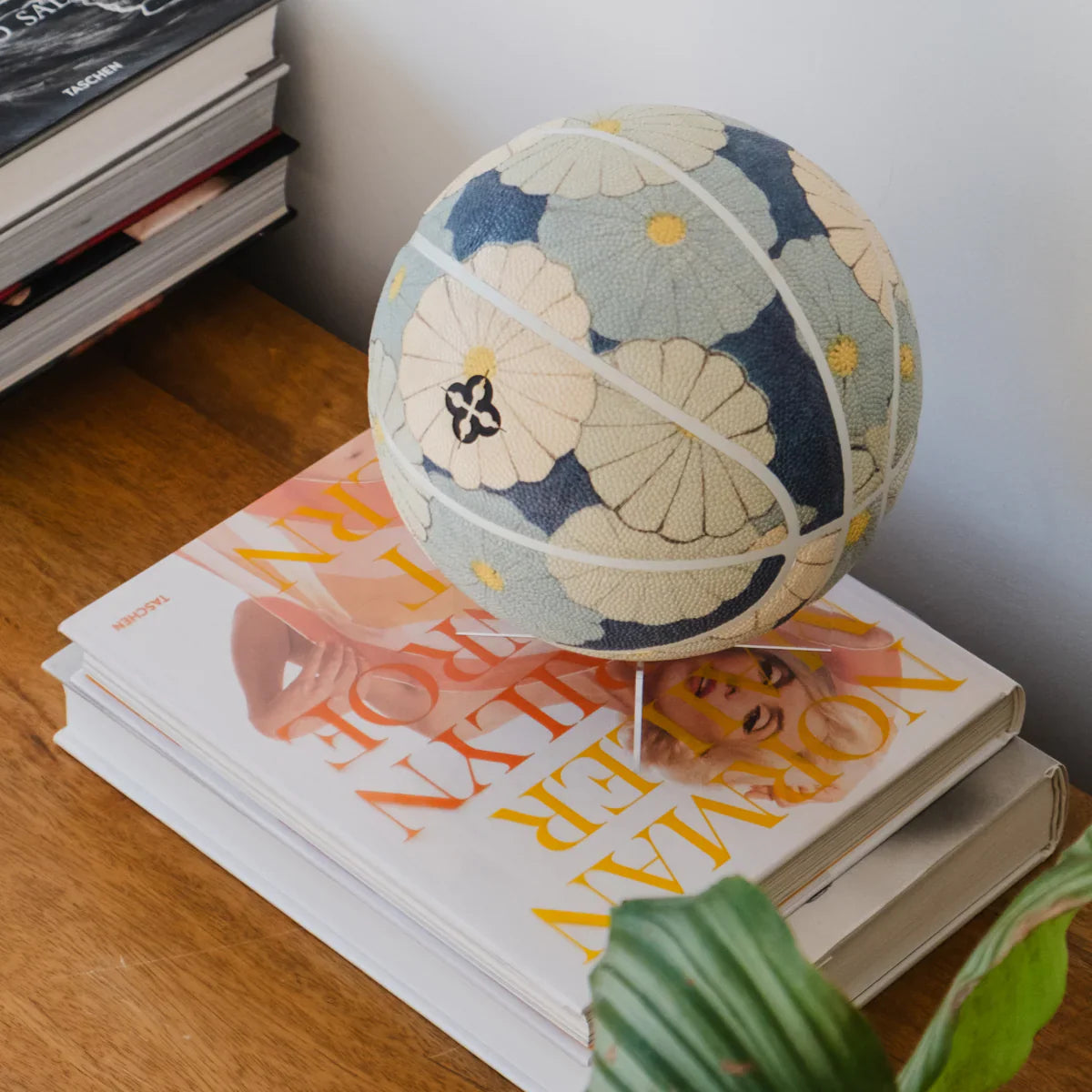 Basketball Art Collection