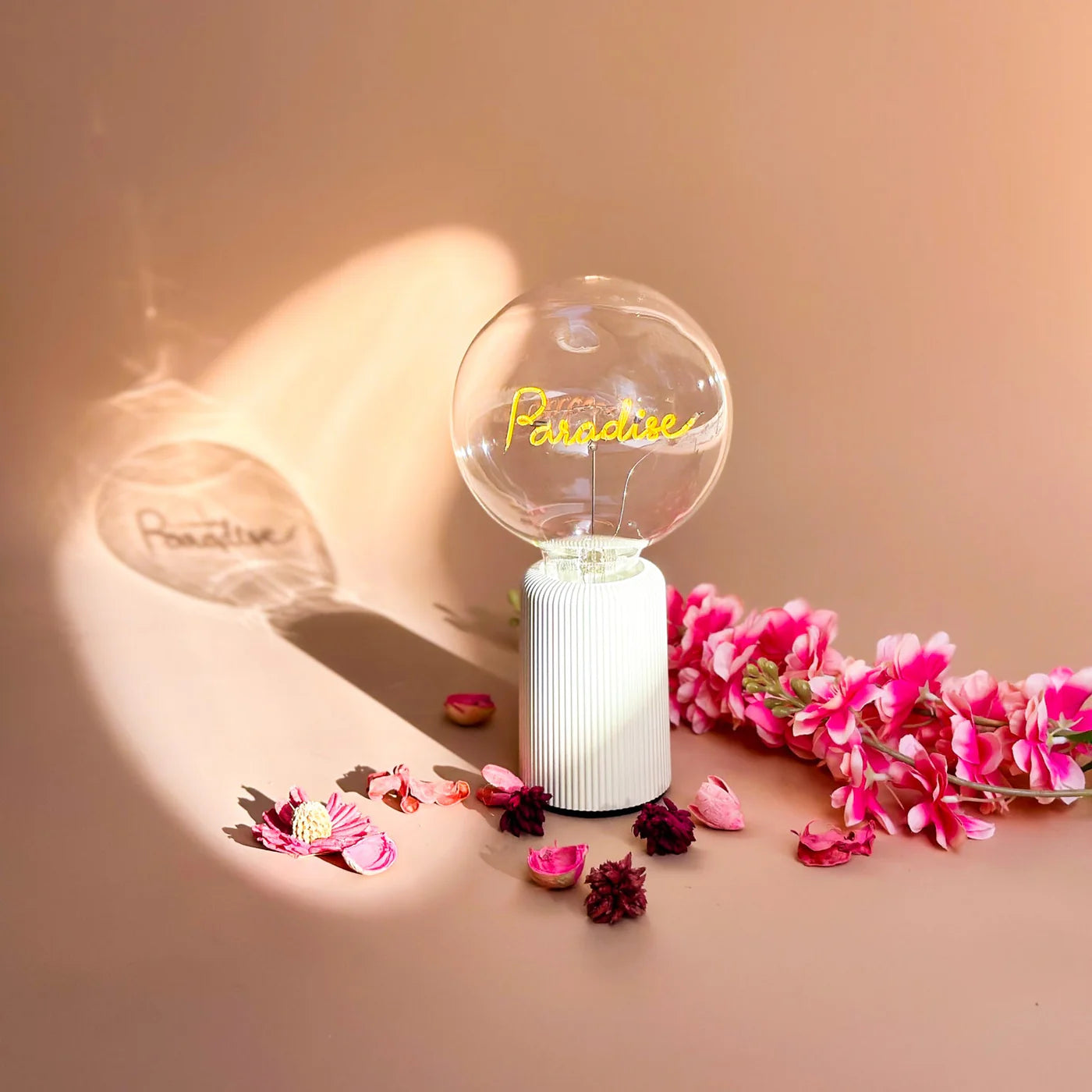 Paradise - Wireless Collection