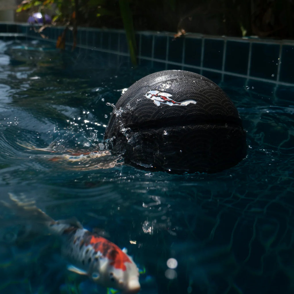 Comrade Berlin - Koi Nami