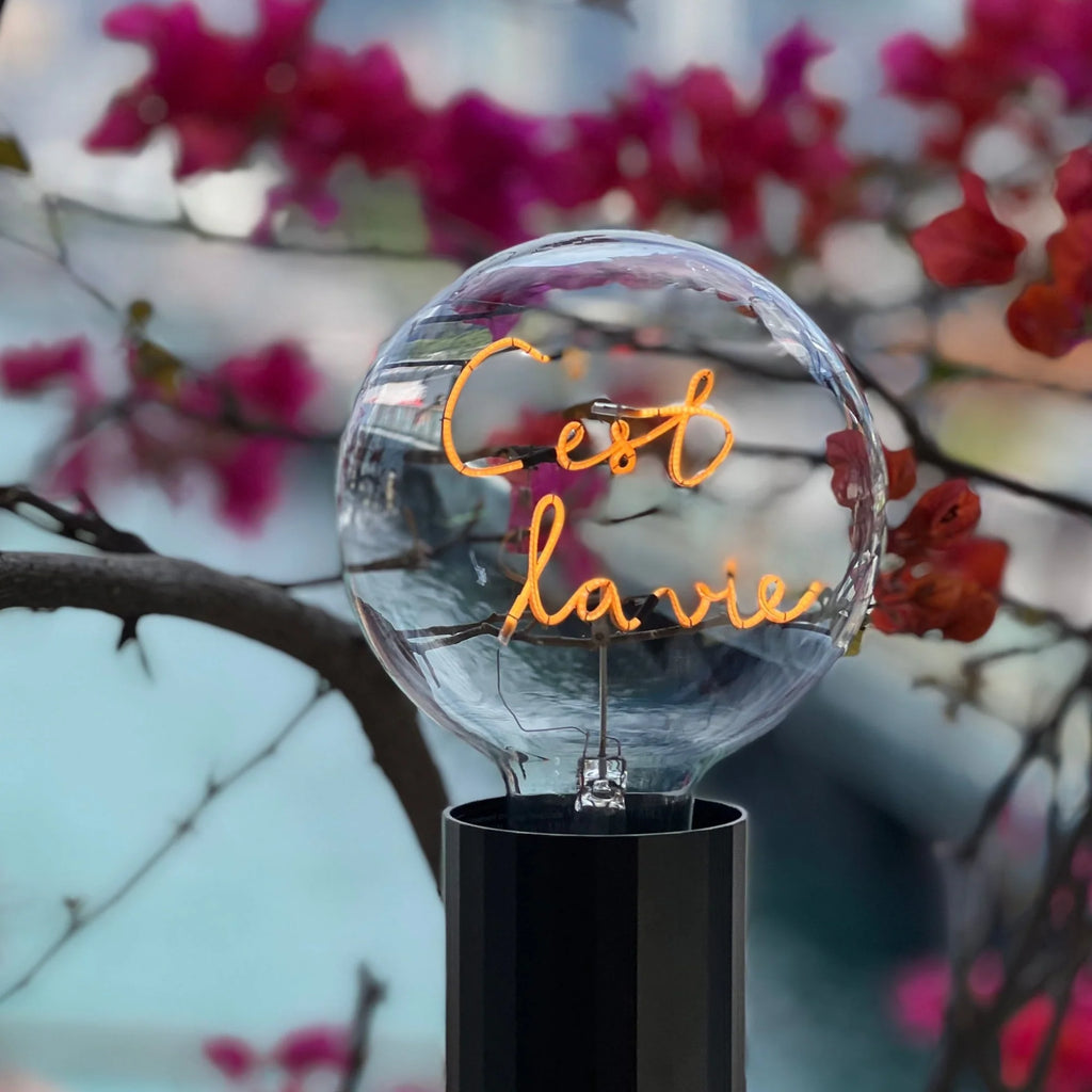 MITB - C’est La Vie - Wireless Bulb