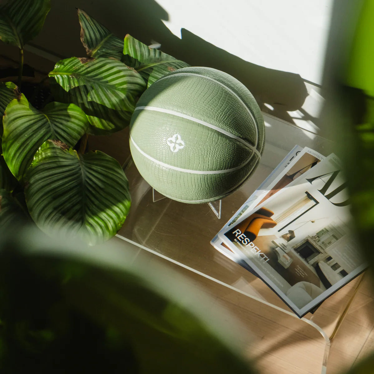 Comrade Berlin - Croco Basketball (mint)