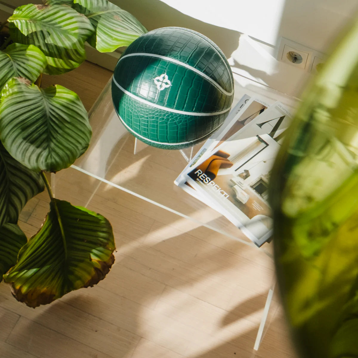 Comrade Berlin - Croco Basketball (alligator)