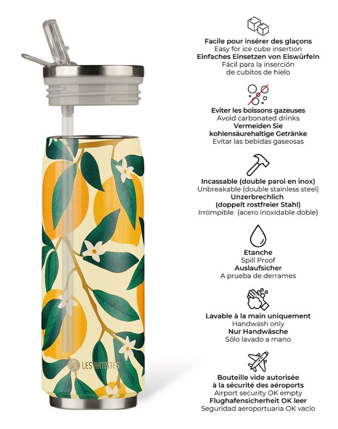 Les Artistes Can Lemon P. 500ml