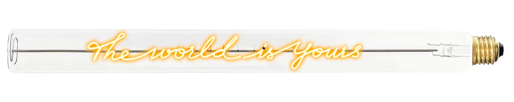 MITB - The World Is Yours - Light Tube